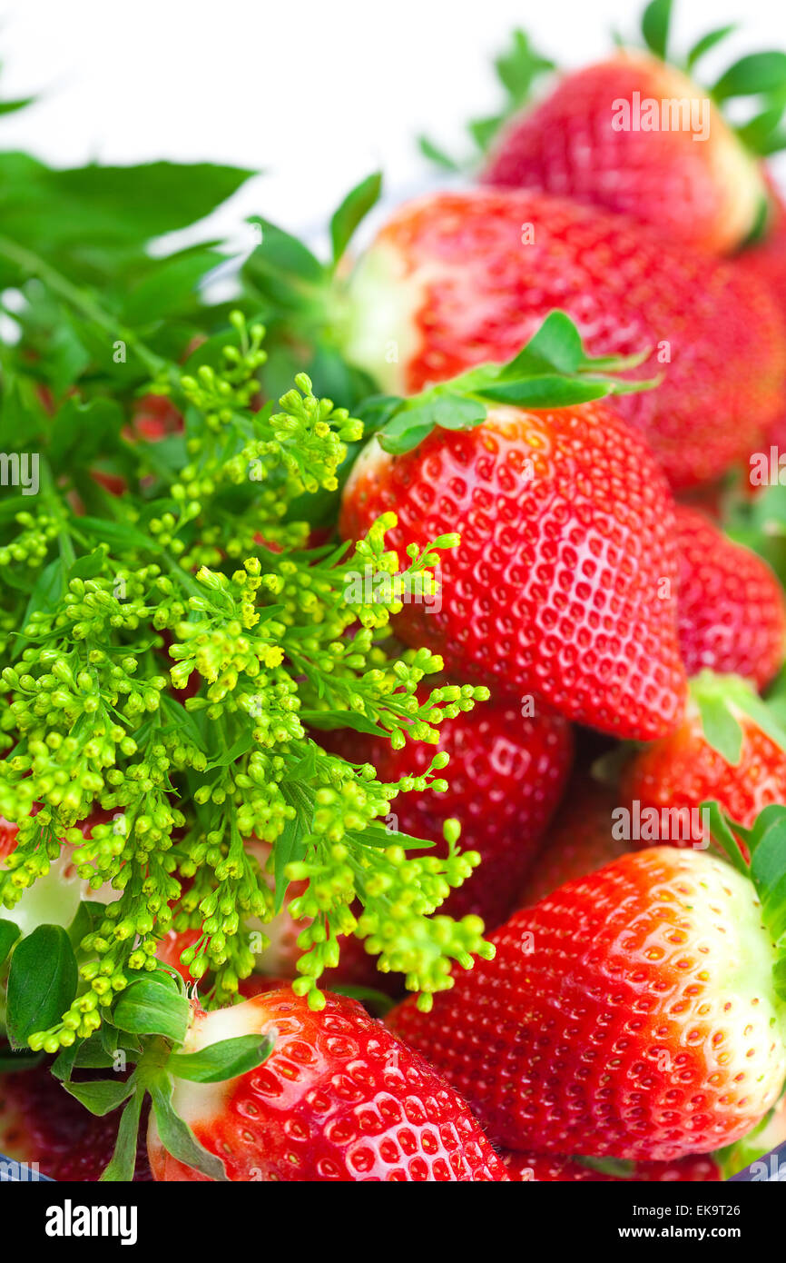 background of red big juicy ripe strawberry and flower Stock Photo - Alamy
