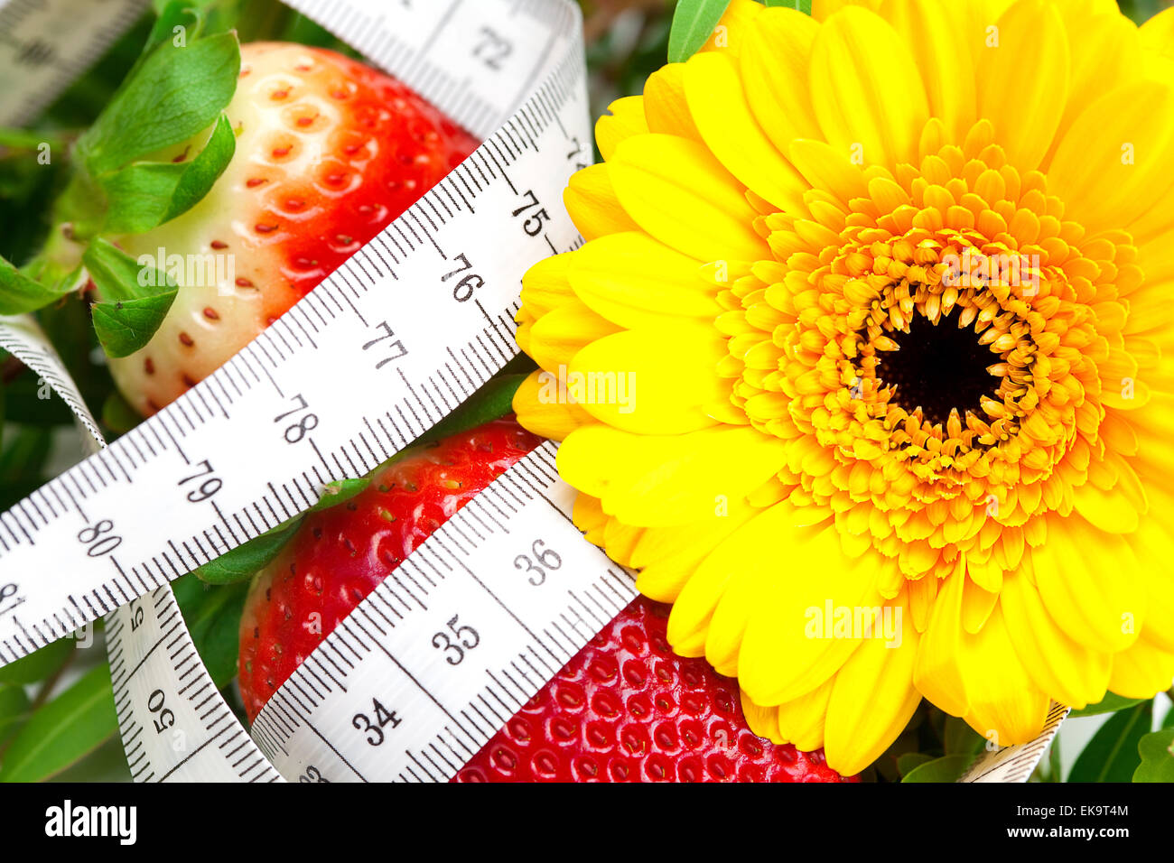 background of red big juicy ripe strawberry and flower Stock Photo - Alamy