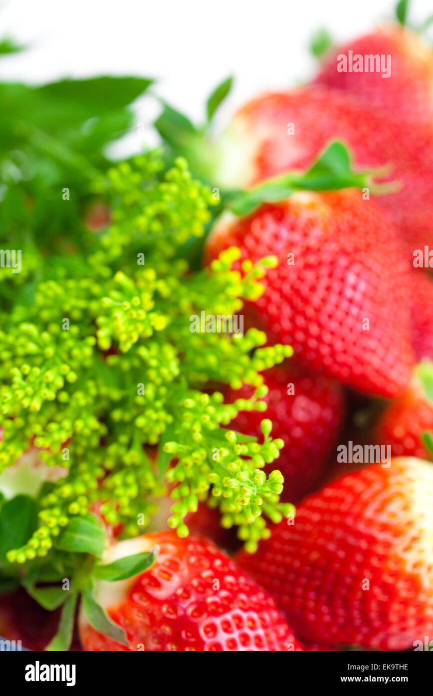 background of red big juicy ripe strawberries and flower Stock Photo ...