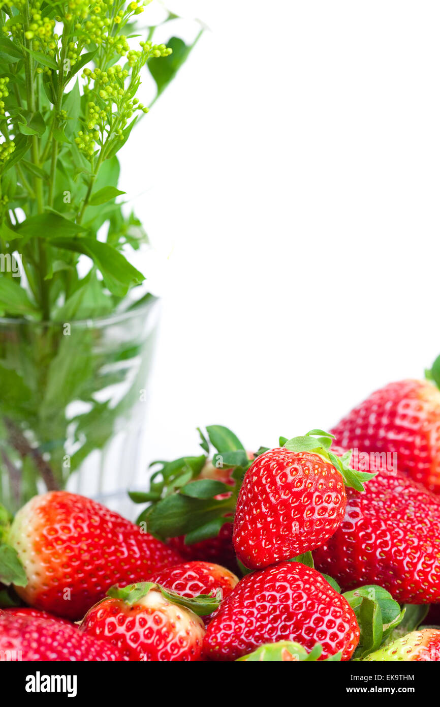 background of red big juicy ripe strawberries and flower Stock Photo ...