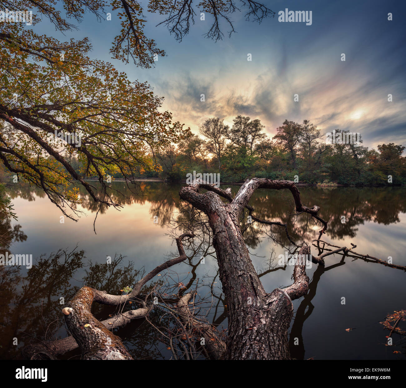 Beautiful autumn sunset at the river in the forest with orange clouds in the blue sky. Green trees, branches  (Ukraine) Stock Photo