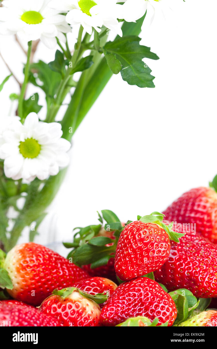 background of red big juicy ripe strawberry and flower Stock Photo - Alamy