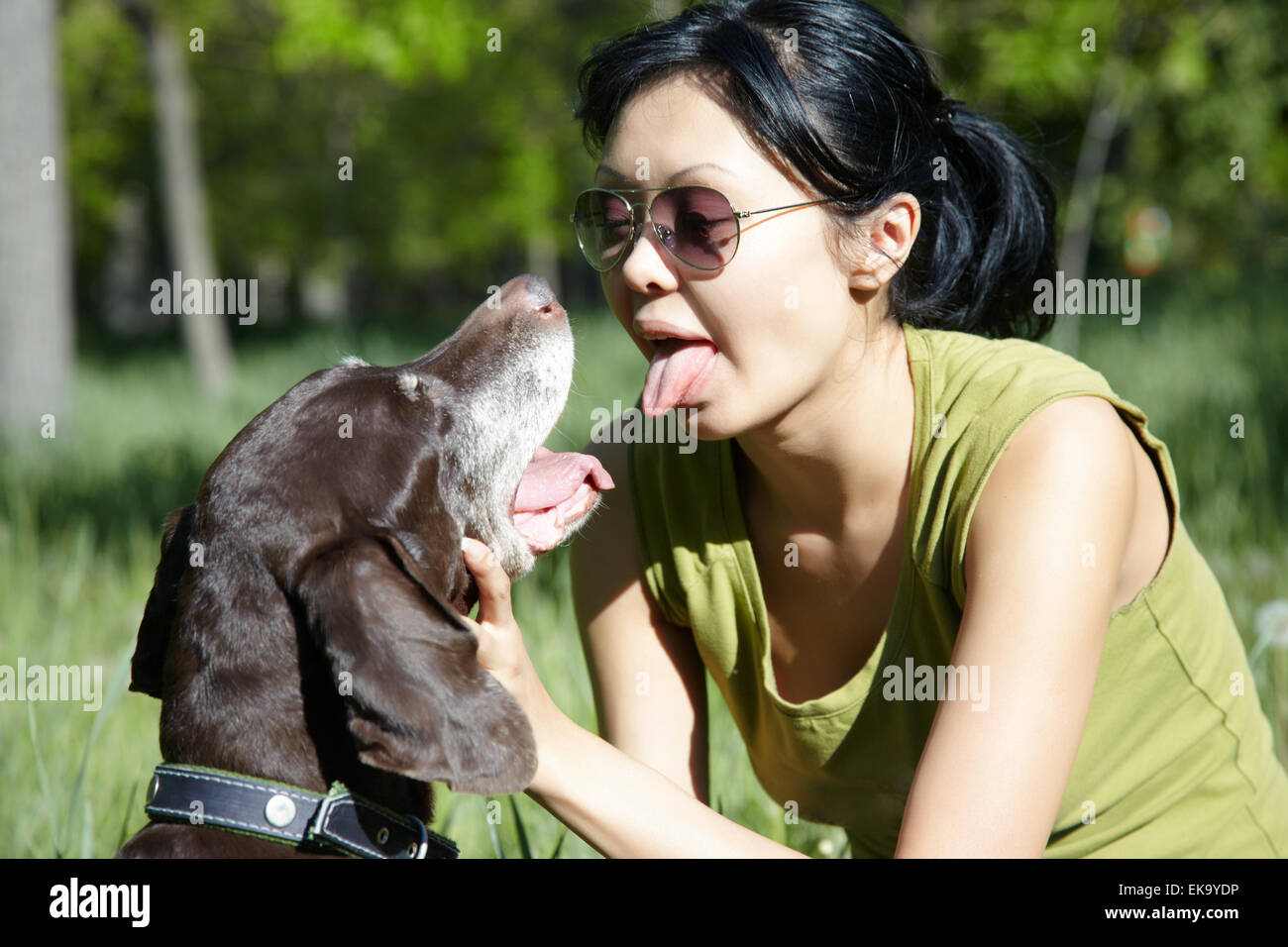 Play with dog Stock Photo