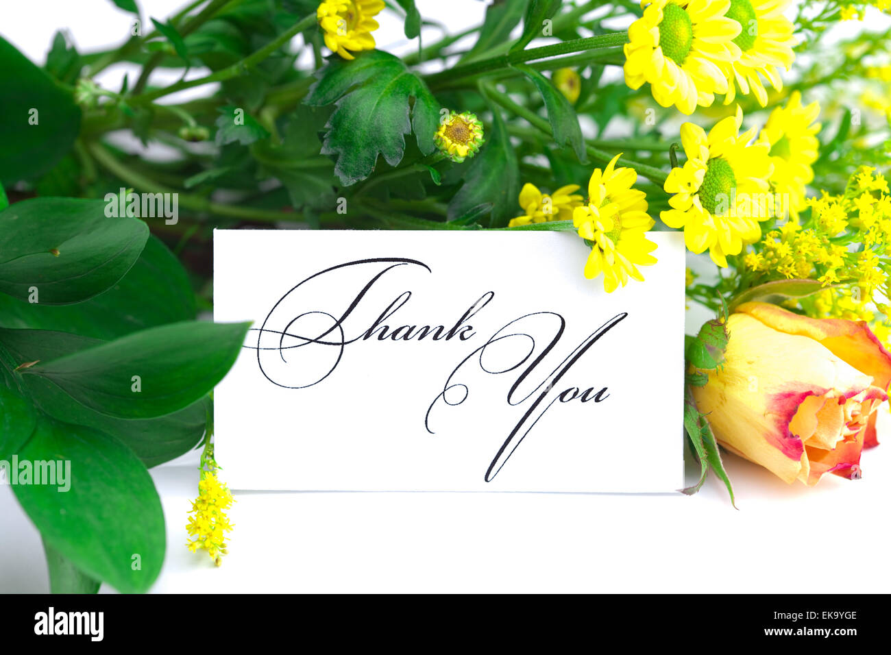 rose, wild flowers and a card signed thank you isolated on white Stock ...