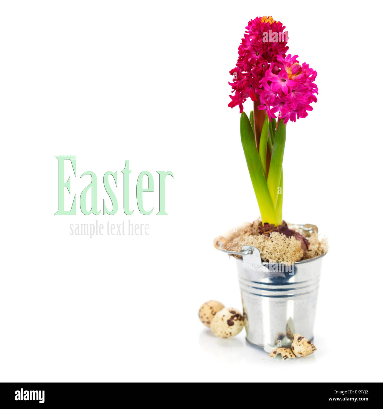 easter composition with eggs and spring flowers Stock Photo - Alamy
