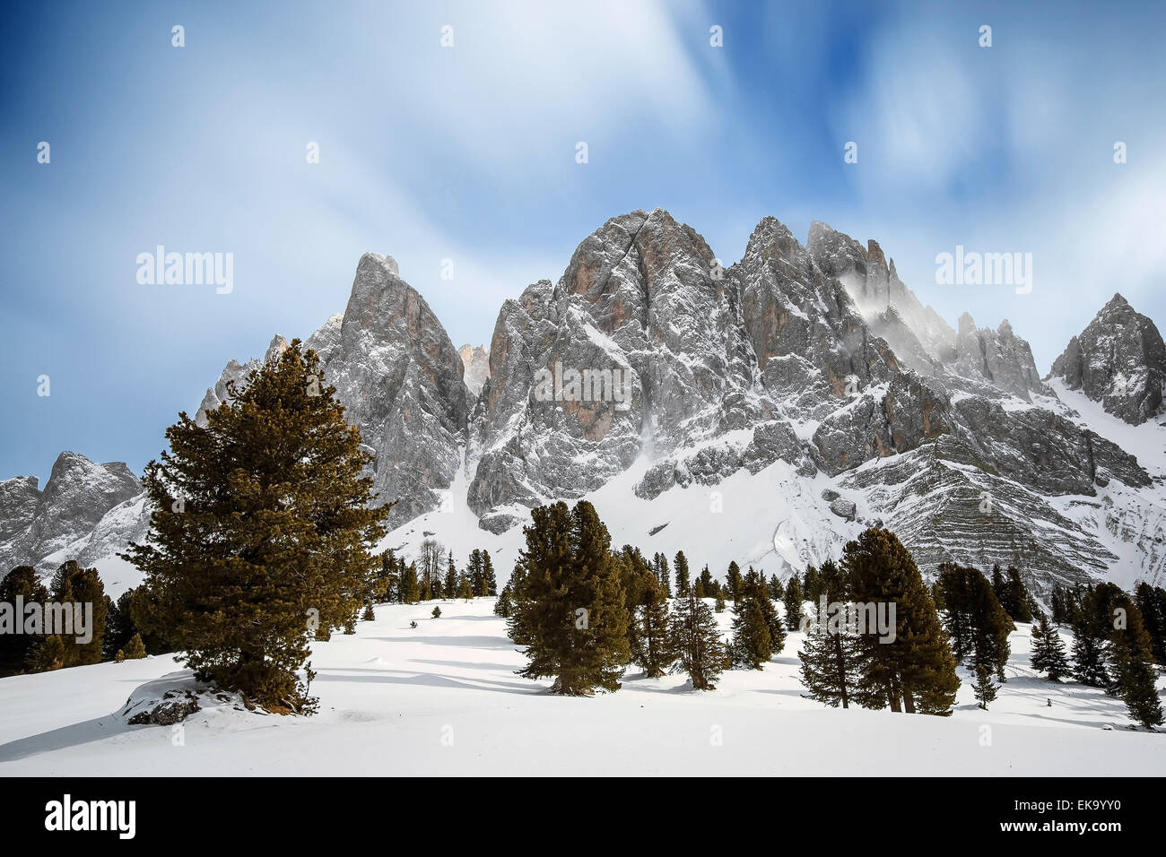 The Odle massif in winter season. Sass Rigais and Furchetta peaks. Pinus cembra forest. The Dolomites of Funes valley. Italian Alps. Europe. Stock Photo