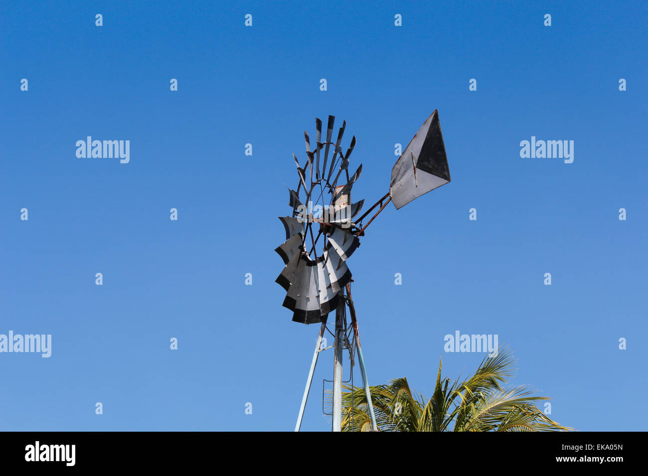 Windmill on the field Stock Photo