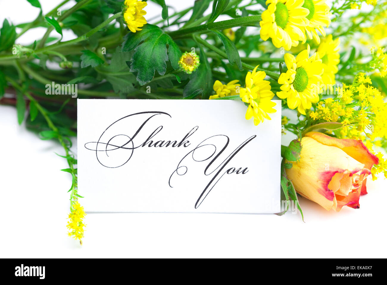 yellow red rose ,yellow field  flower and a card  with the words Stock Photo