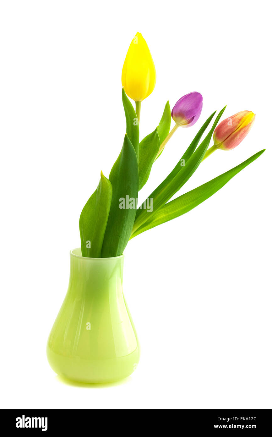 colorful tulips in vase isolated on white Stock Photo Alamy
