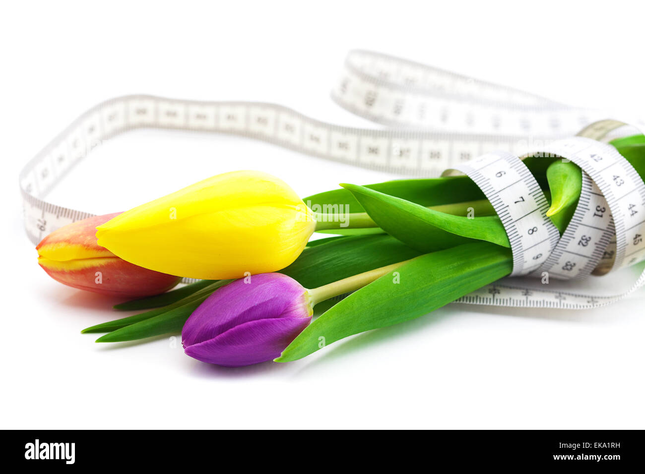 colorful tulips and measure tape isolated on white Stock Photo