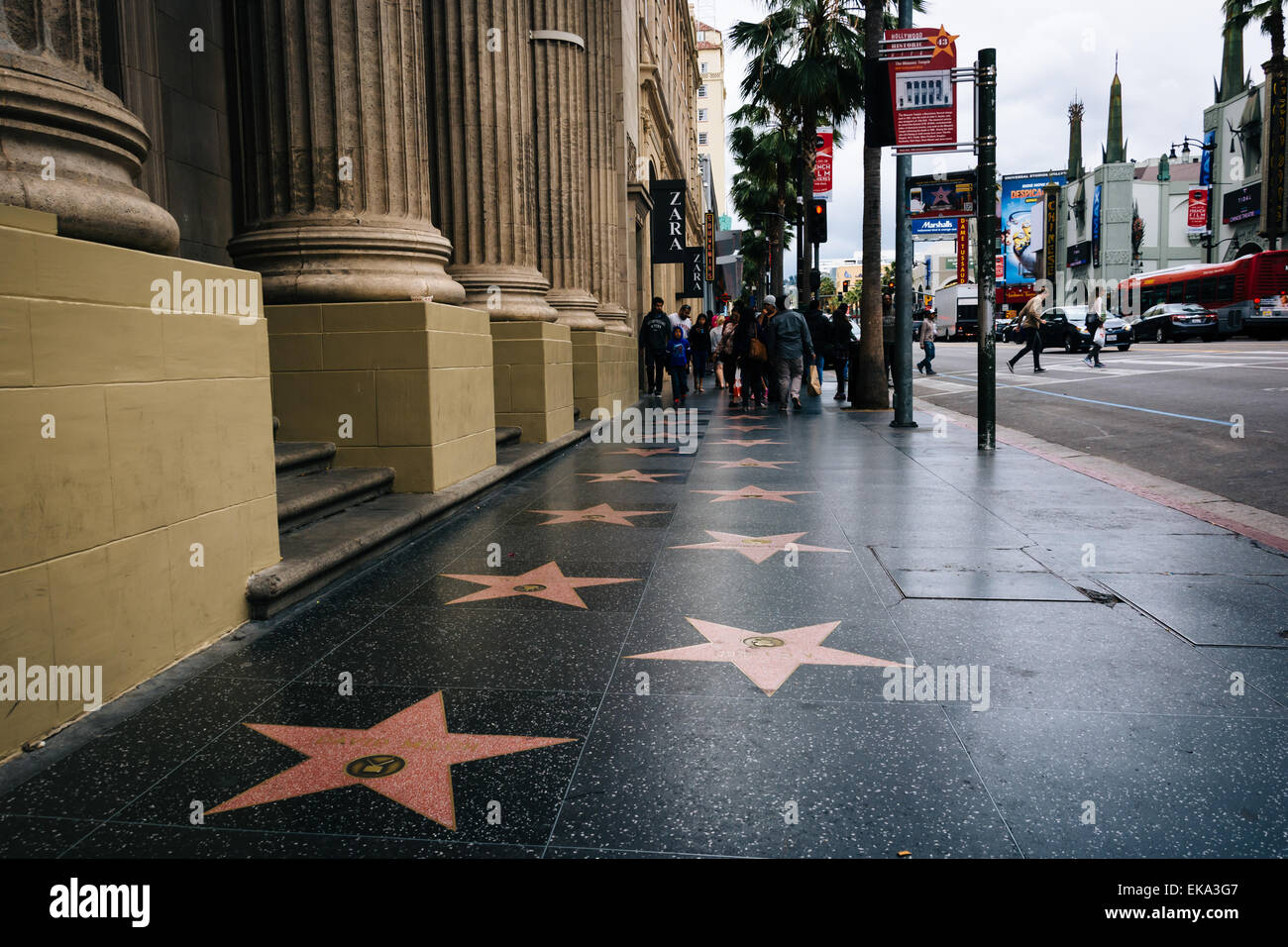 The Hollywood Walk of Fame, in Hollywood, Los Angeles, California. Stock Photo