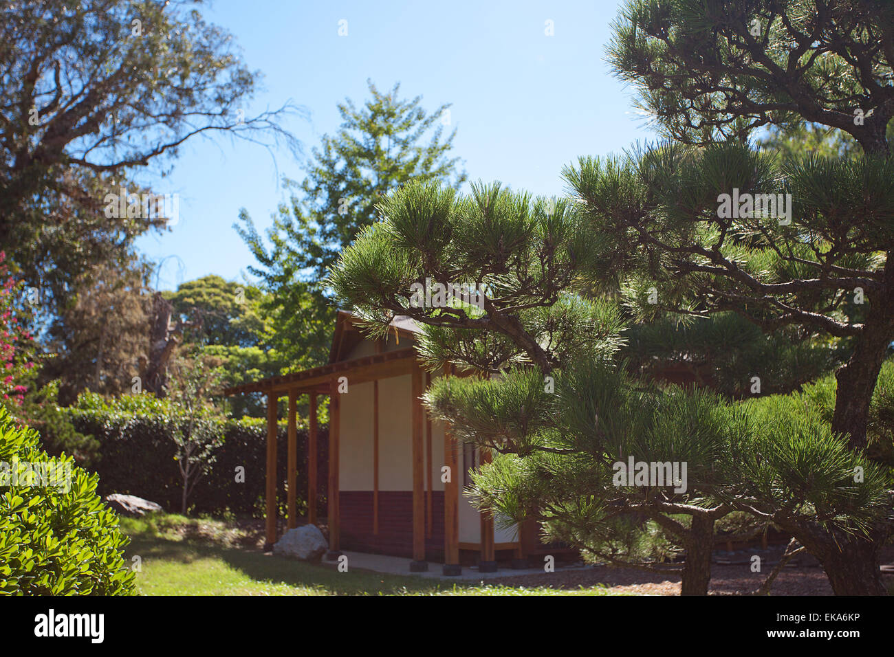 house in Japanese style on background of trees Stock Photo