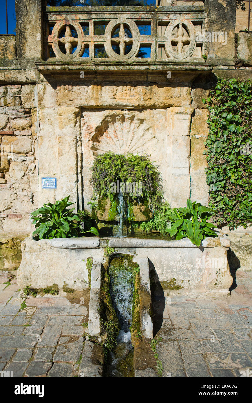 Fountain at the Alcazar de los Reyes Cristianos gardens, Cordoba, Spain Stock Photo