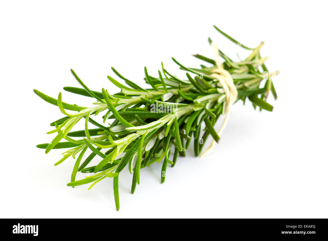 Rosemary rosmarinus officinalis Cut Out Stock Images & Pictures Alamy
