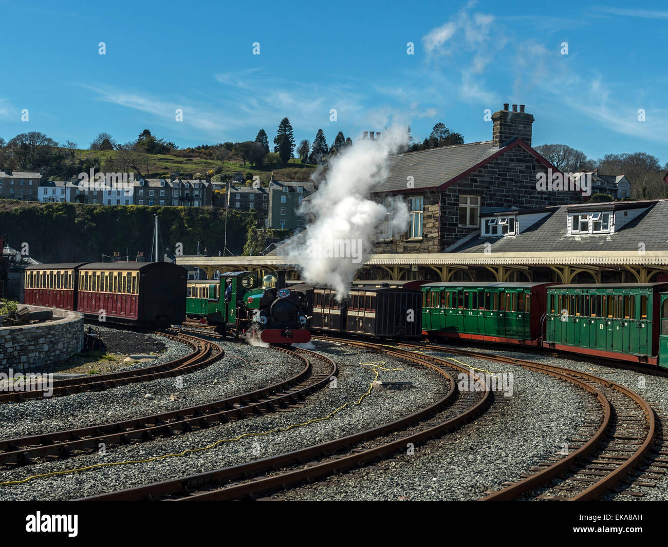 Blanche, a saddle-tank tender engine, lets off steam at Porthmadog railway station, Wales. Stock Photo