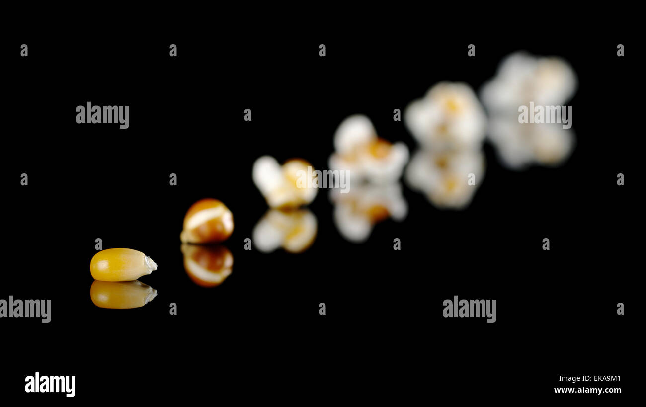 Corn growth stages hires stock photography and images Alamy