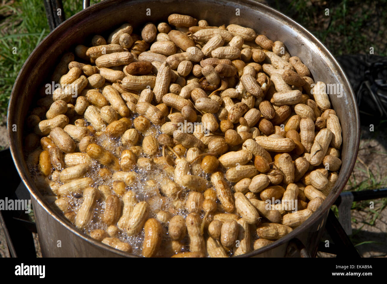 Peanuts boiling in a pot at a produce stand in rural Georgia, USA. Stock Photo
