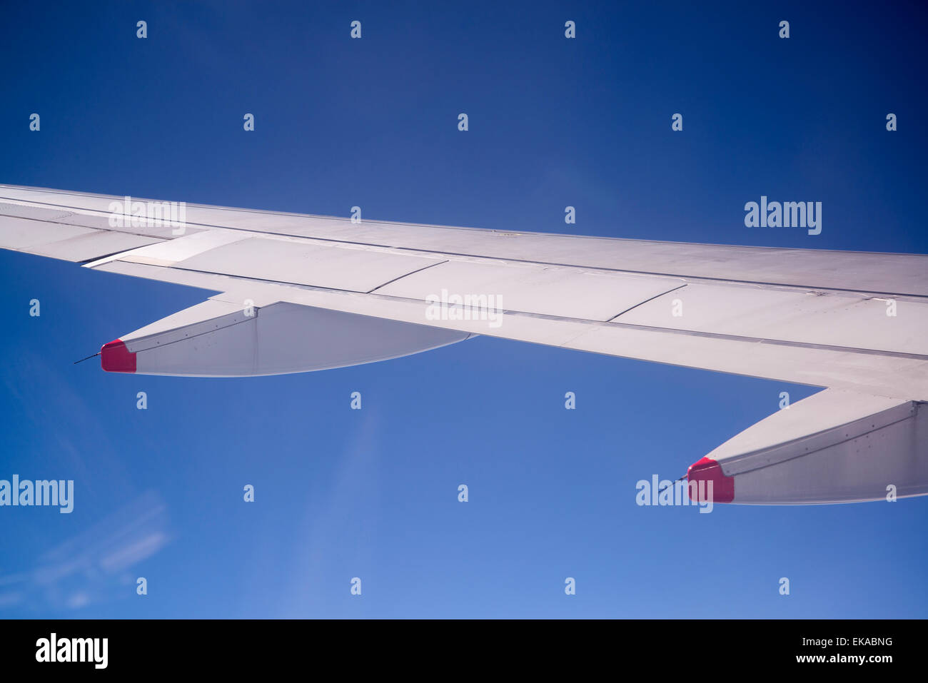 Clear wing hi-res stock photography and images - Alamy
