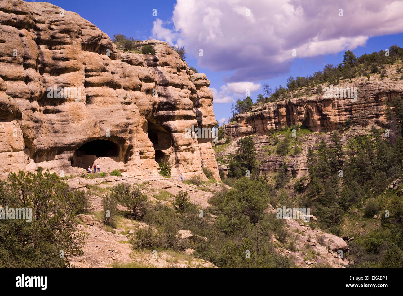Gila Cliff Dwellings National Monument, Gila National Forest, NM, USA Stock Photo