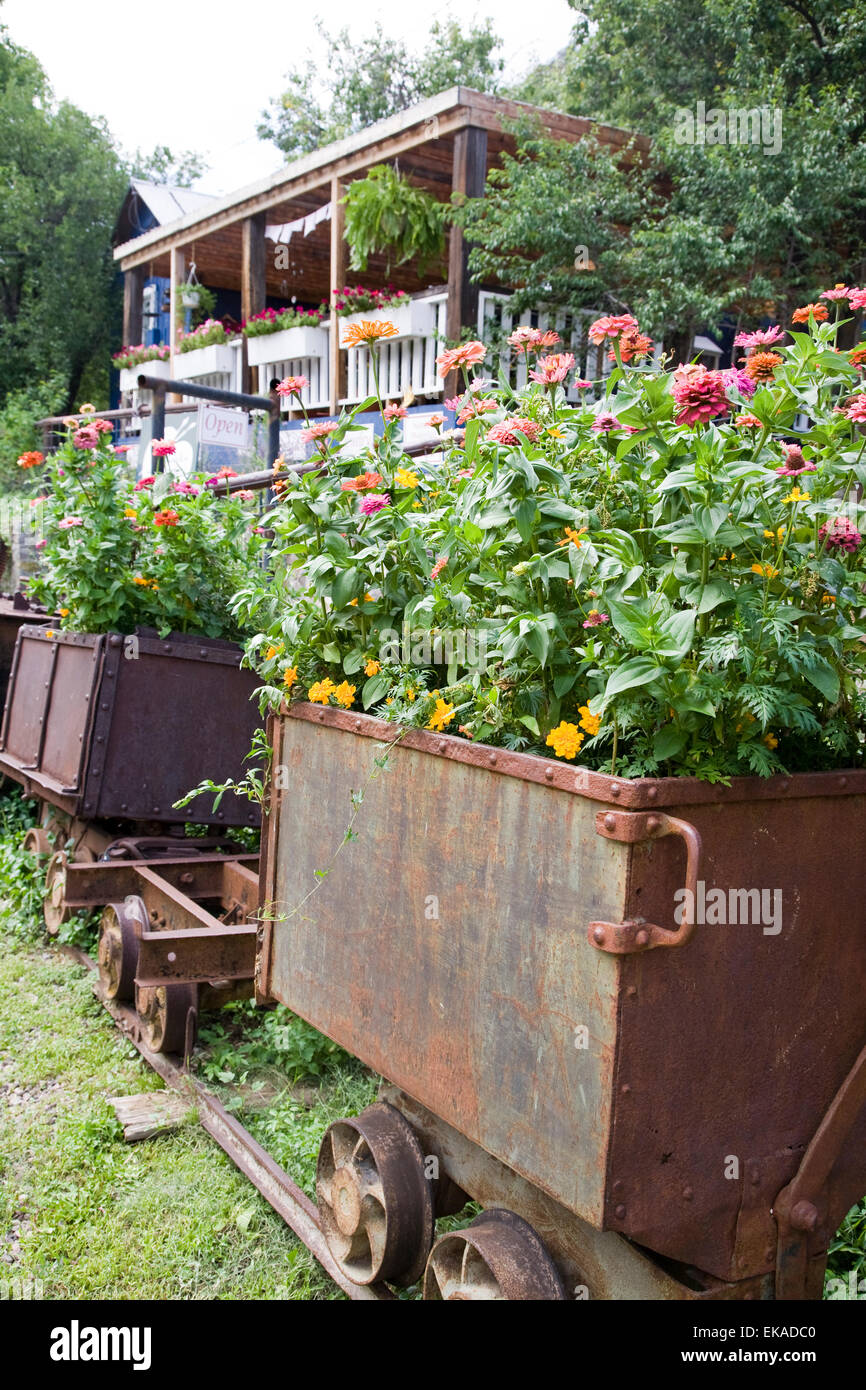 Colorful flowers in mining box cars, Mogollon, NM, USA Stock Photo