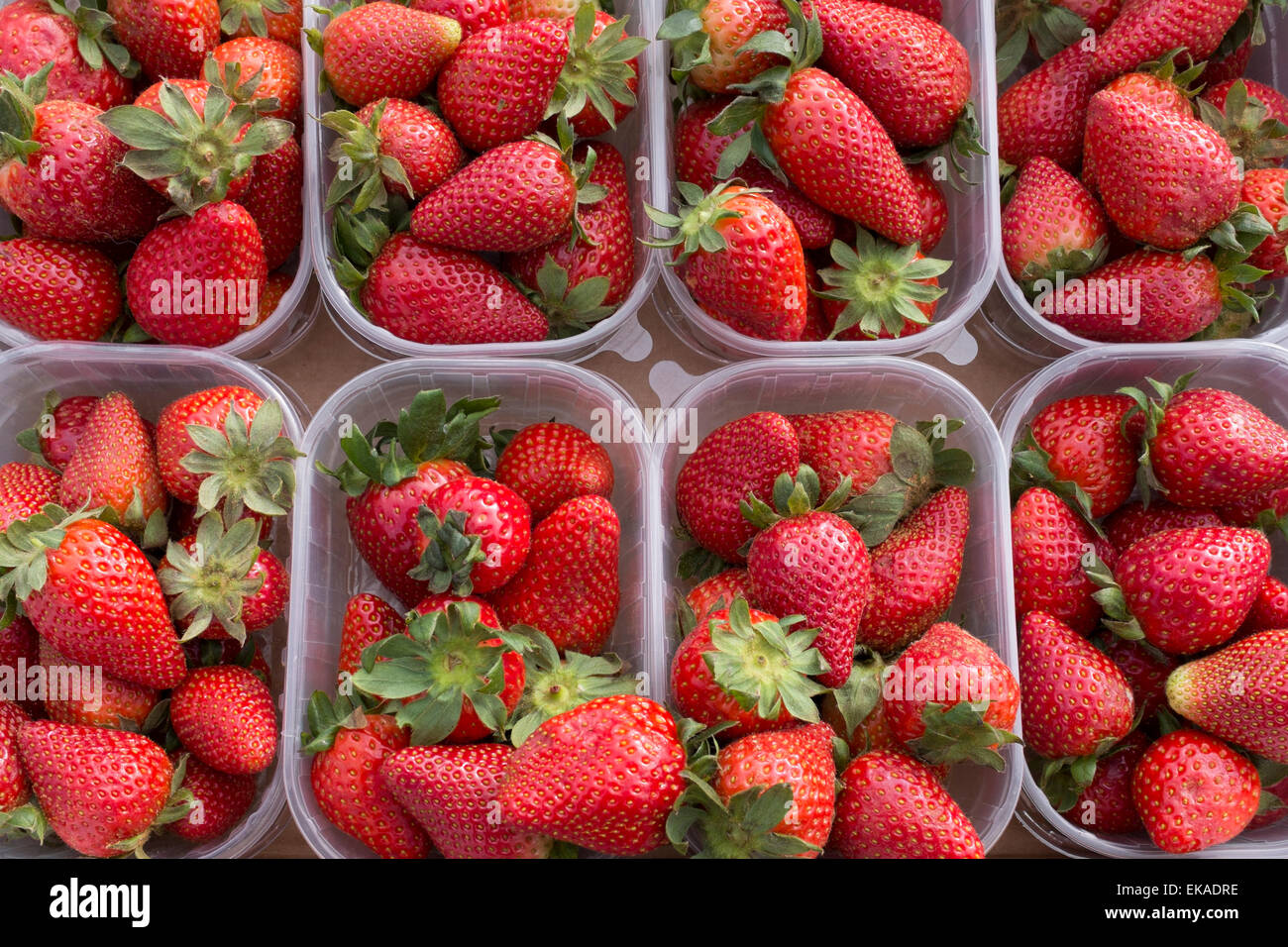 Fresh strawberries for sale, Scotland, UK Stock Photo Alamy