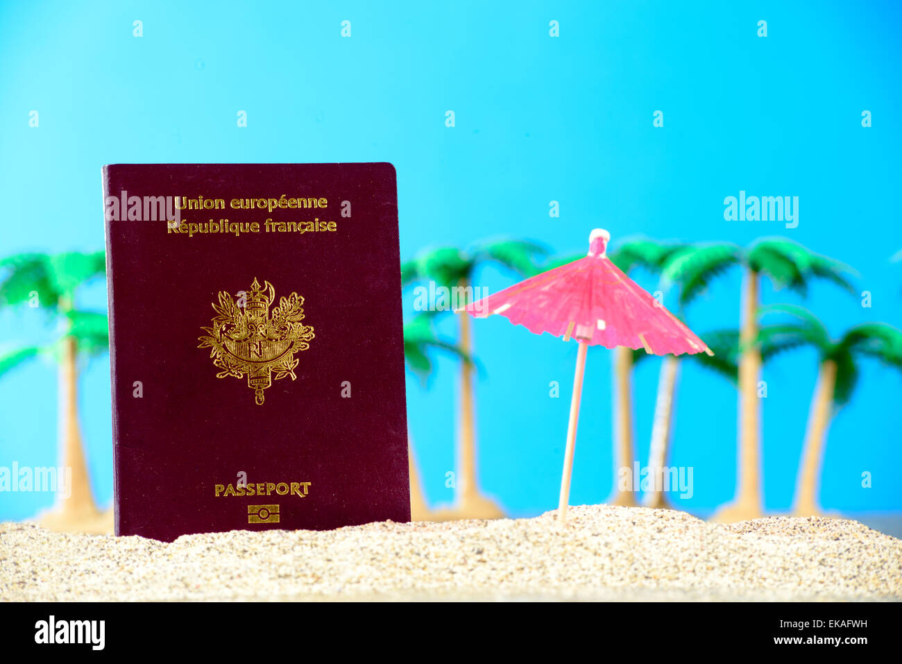 French passport in the sand of a beach with palm trees Stock Photo