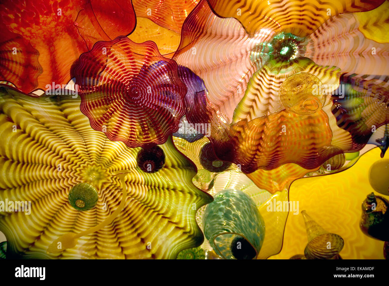 Detail of the art glass magic of Dale Chihuly at Oklahoma City Museum of Art, OK, USA Stock Photo