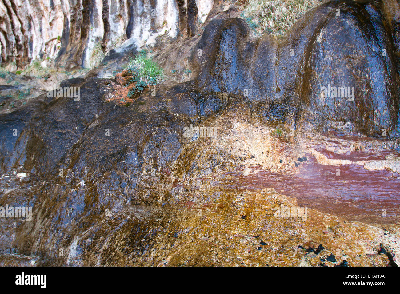 Colors and abstracts made from slip rock at Weeping Rock in Zion