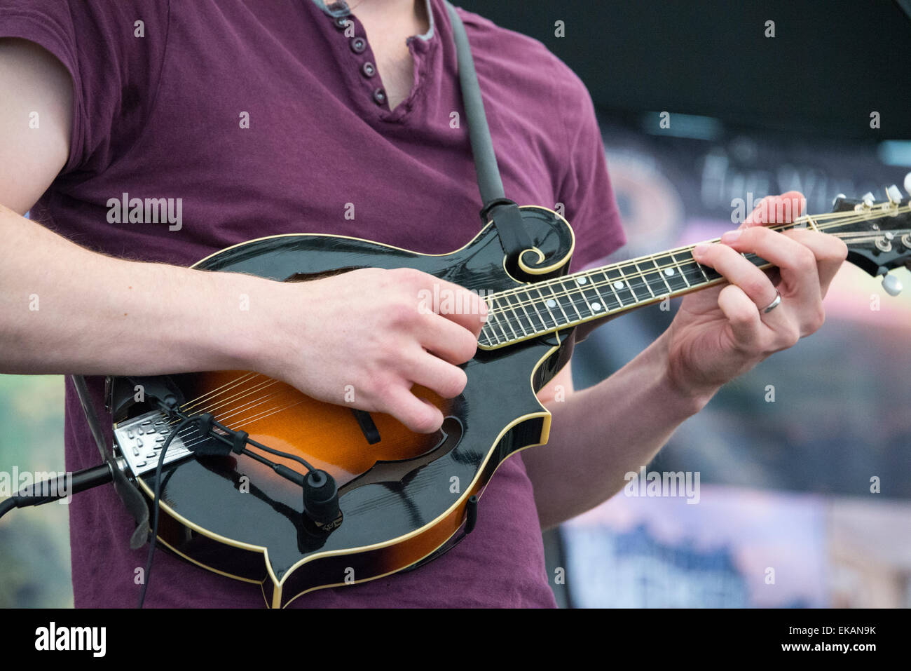Electric mandolin player Stock Photo Alamy