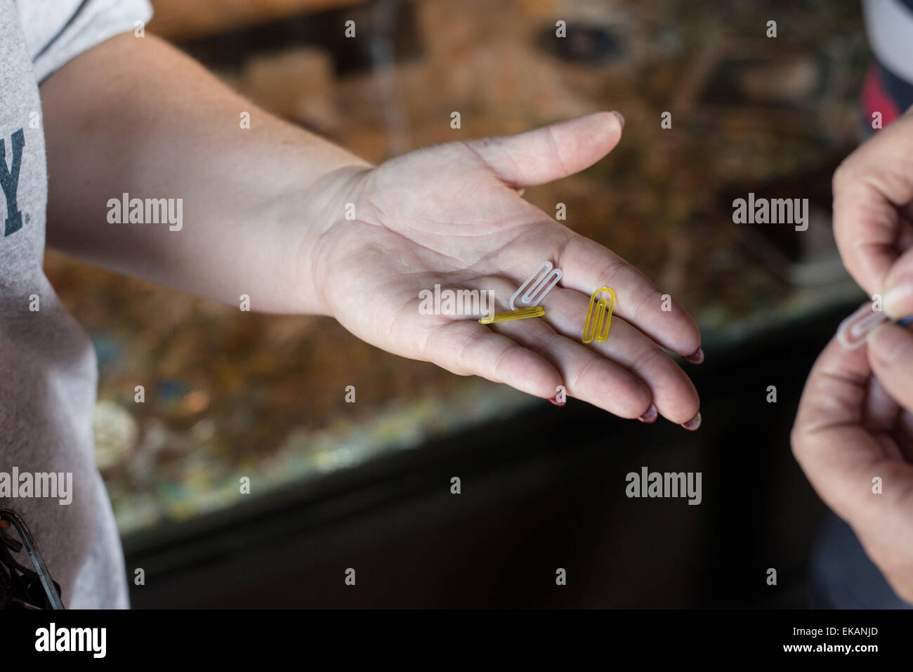 Whitwell Tennessee middle school . Home of the Paper Clip Project Stock