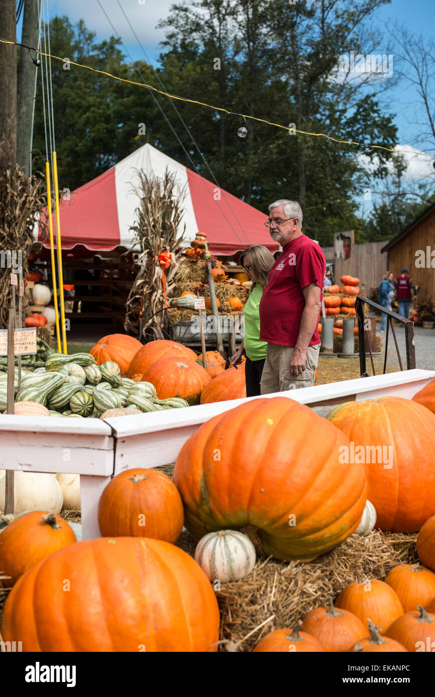 Ozark Plateau ,US Parkway 441 Stock Photo Alamy