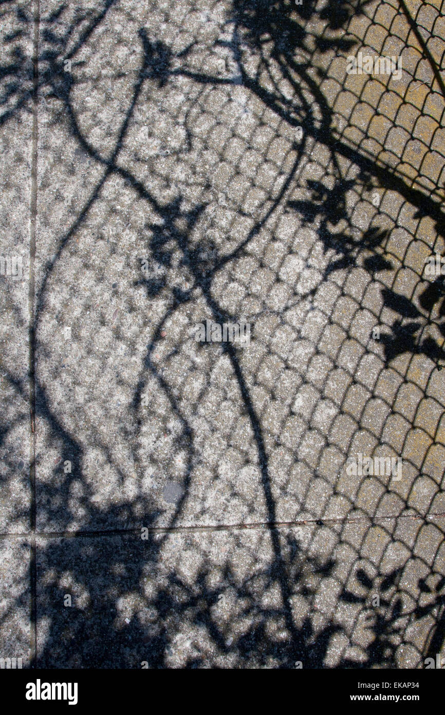 Mesh shadows hi-res stock photography and images - Alamy