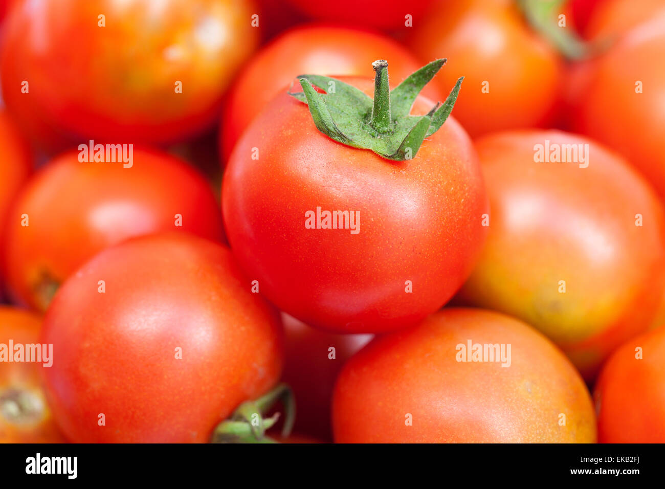 background of red ripe tomatoes Stock Photo - Alamy