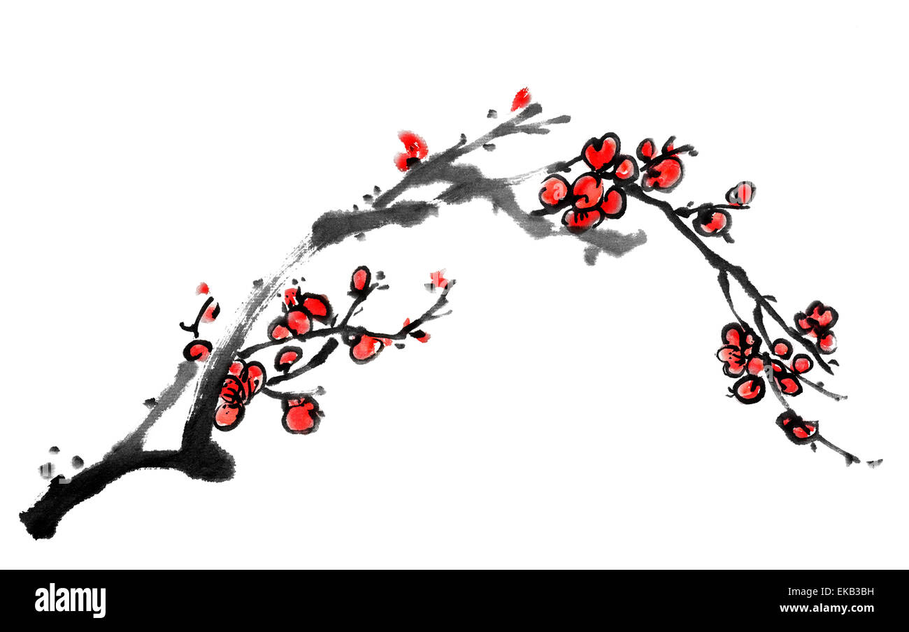 Chinese painting of plum blossom Stock Photo Alamy