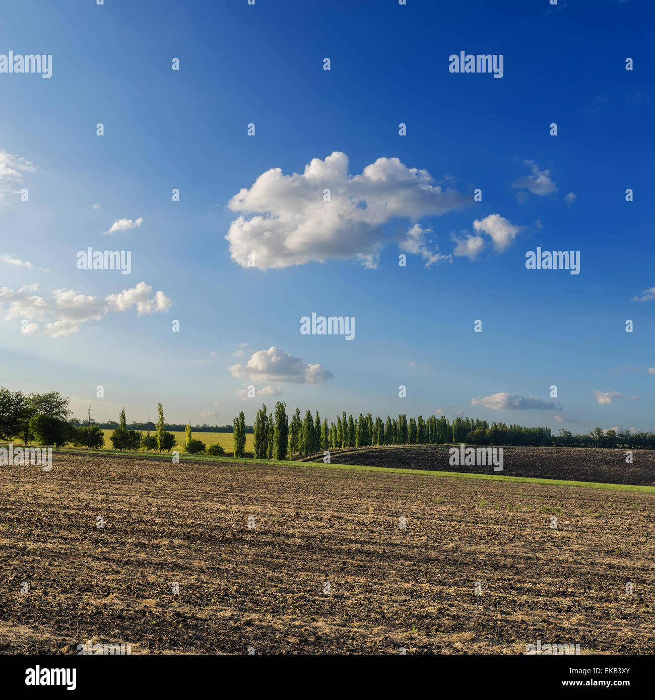 black field after harvesting under cloudy sky Stock Photo - Alamy