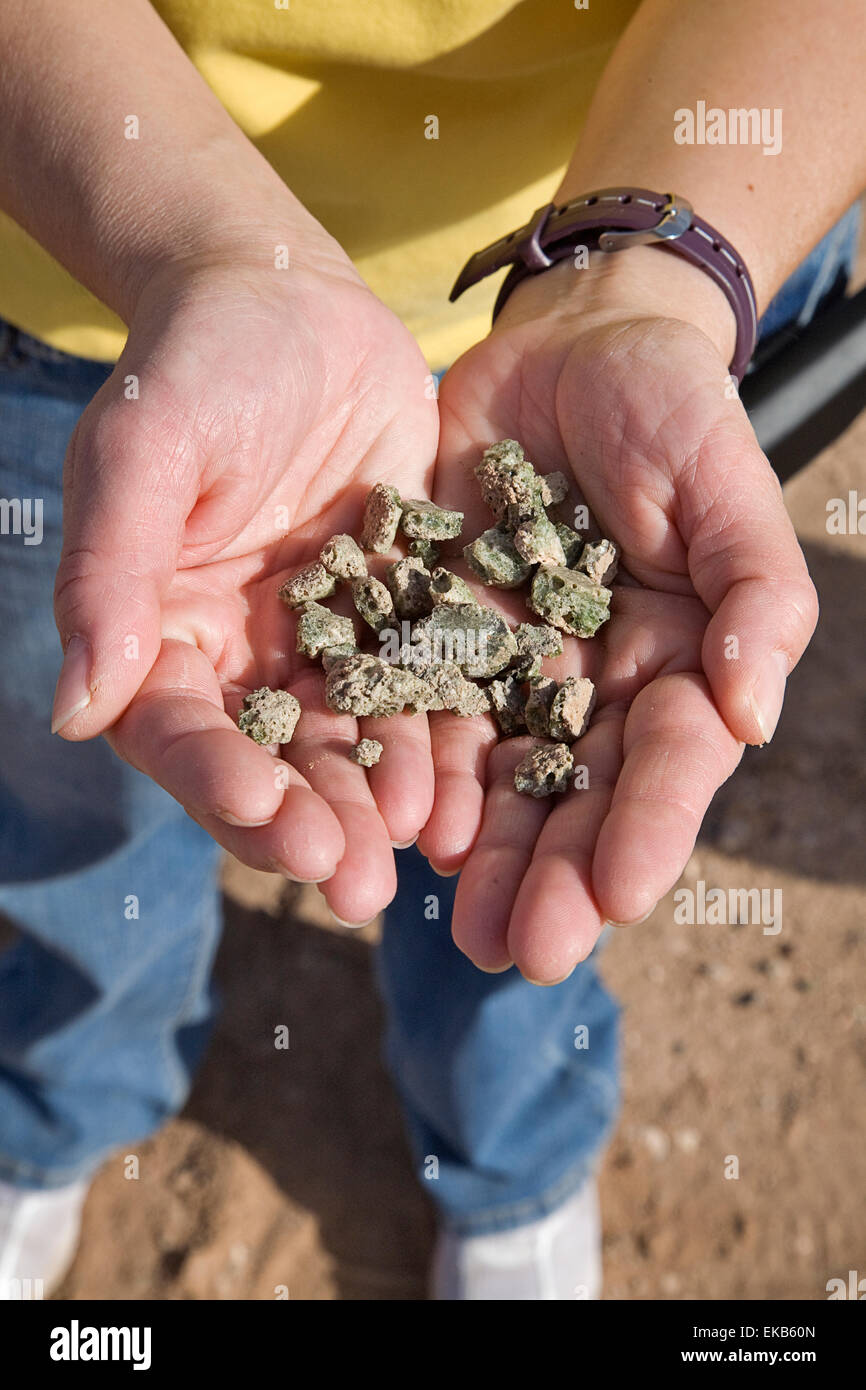 The TrinityTest Site, where the first atomic bomb was exploded on July