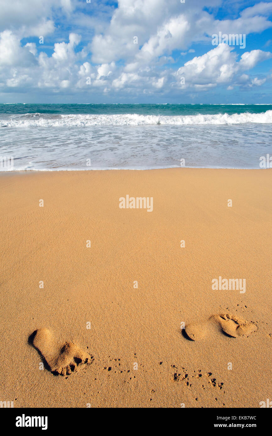 walking on the beach Stock Photo