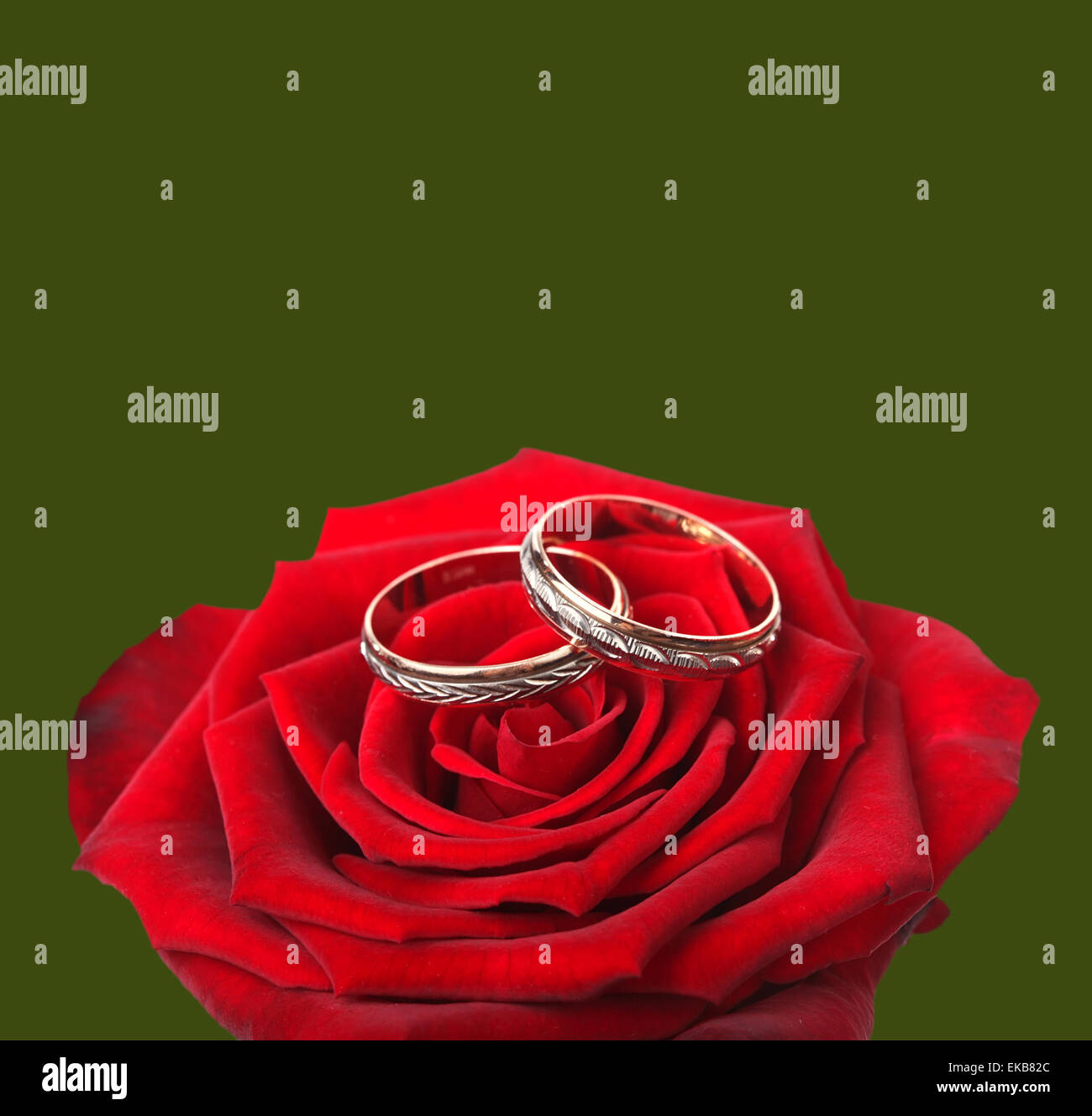Red Roses And Rings wedding rings and on a red roses Stock Photo - Alamy