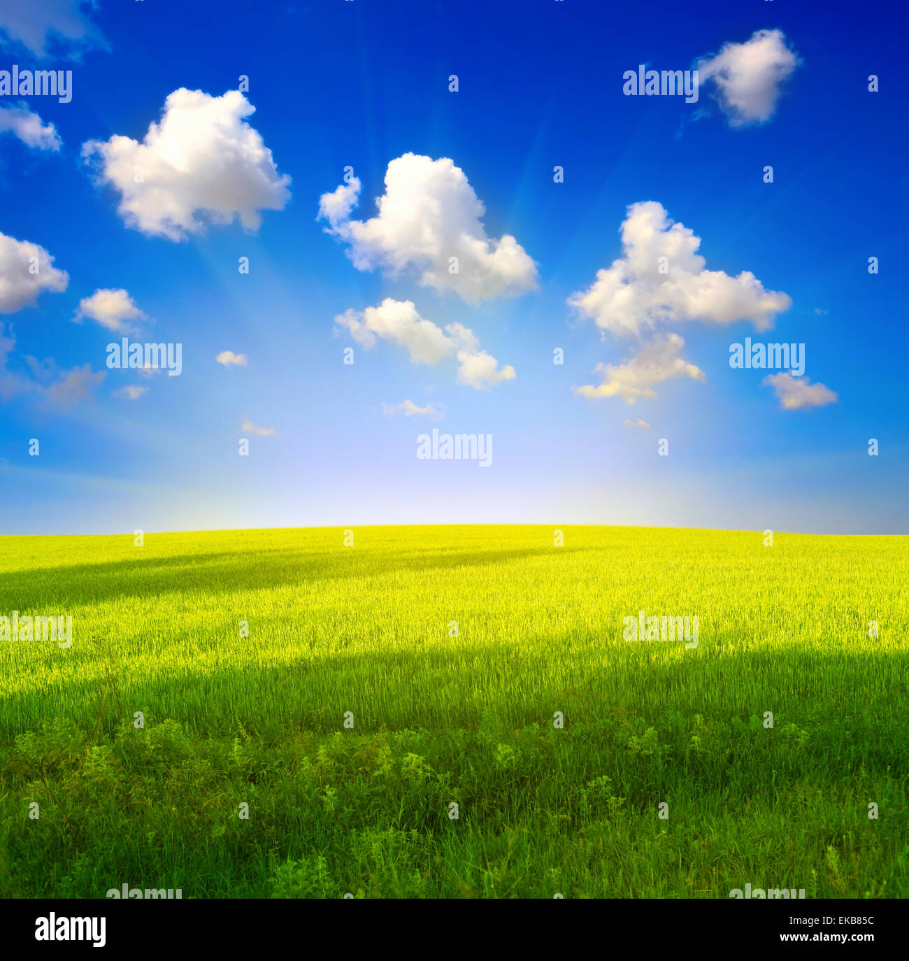 green grass and blue sky Stock Photo - Alamy