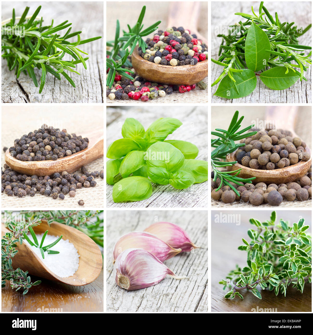 herbs and spices - collage Stock Photo