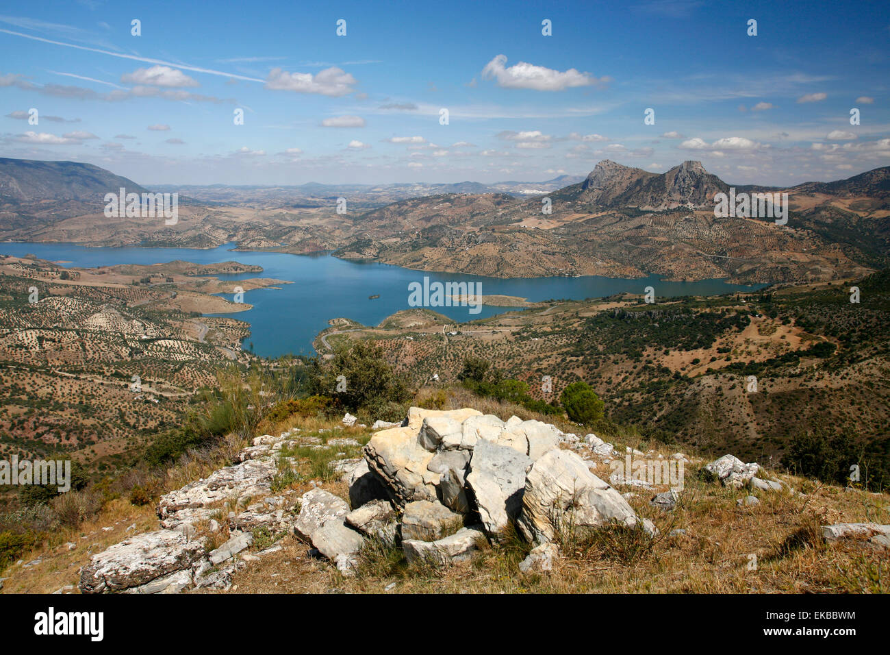 View over the Embalse de Zahara reservoir, Parque Natural Sierra de Grazalema, Andalucia, Spain, Europe Stock Photo