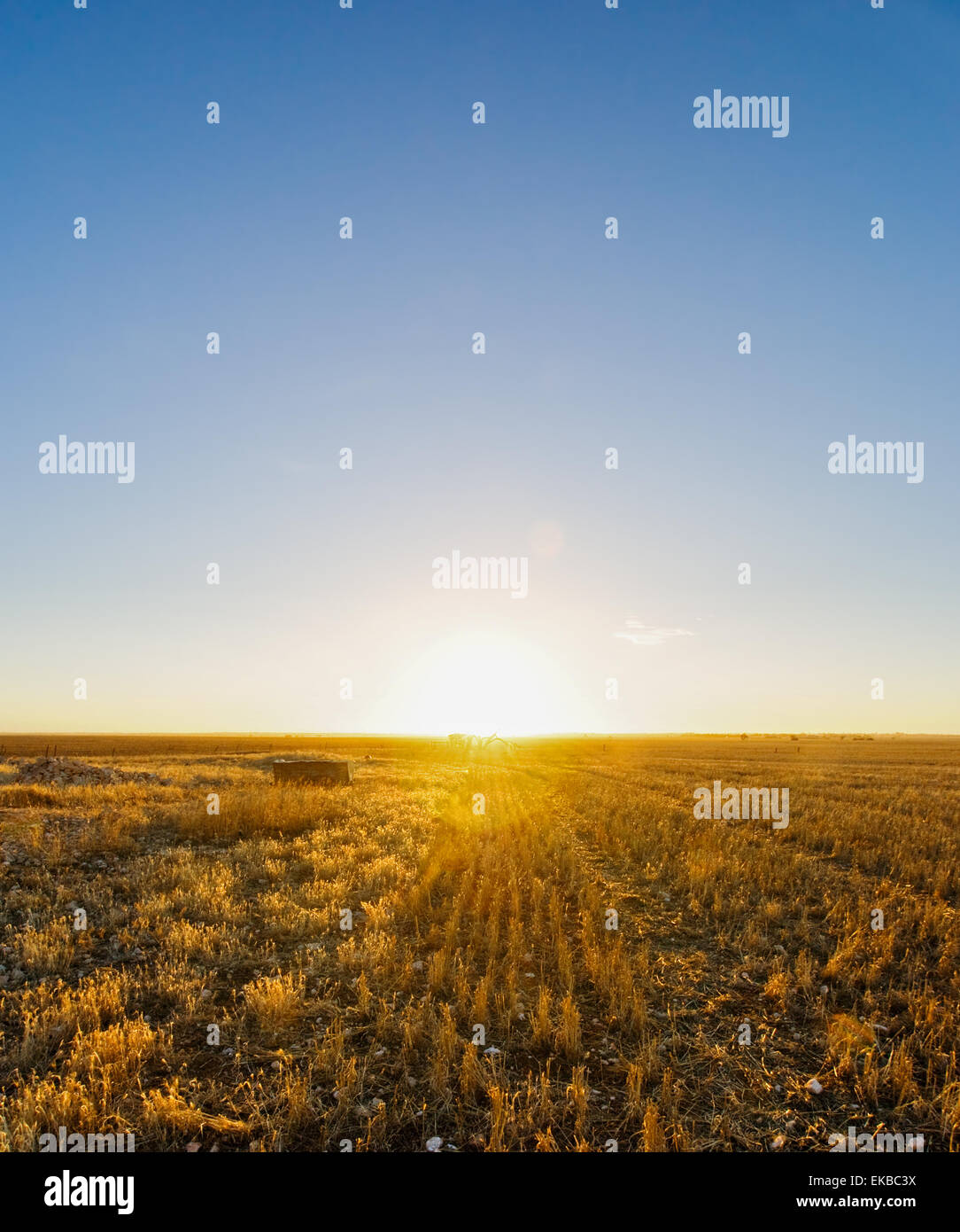 Australian farmland hi-res stock photography and images - Alamy