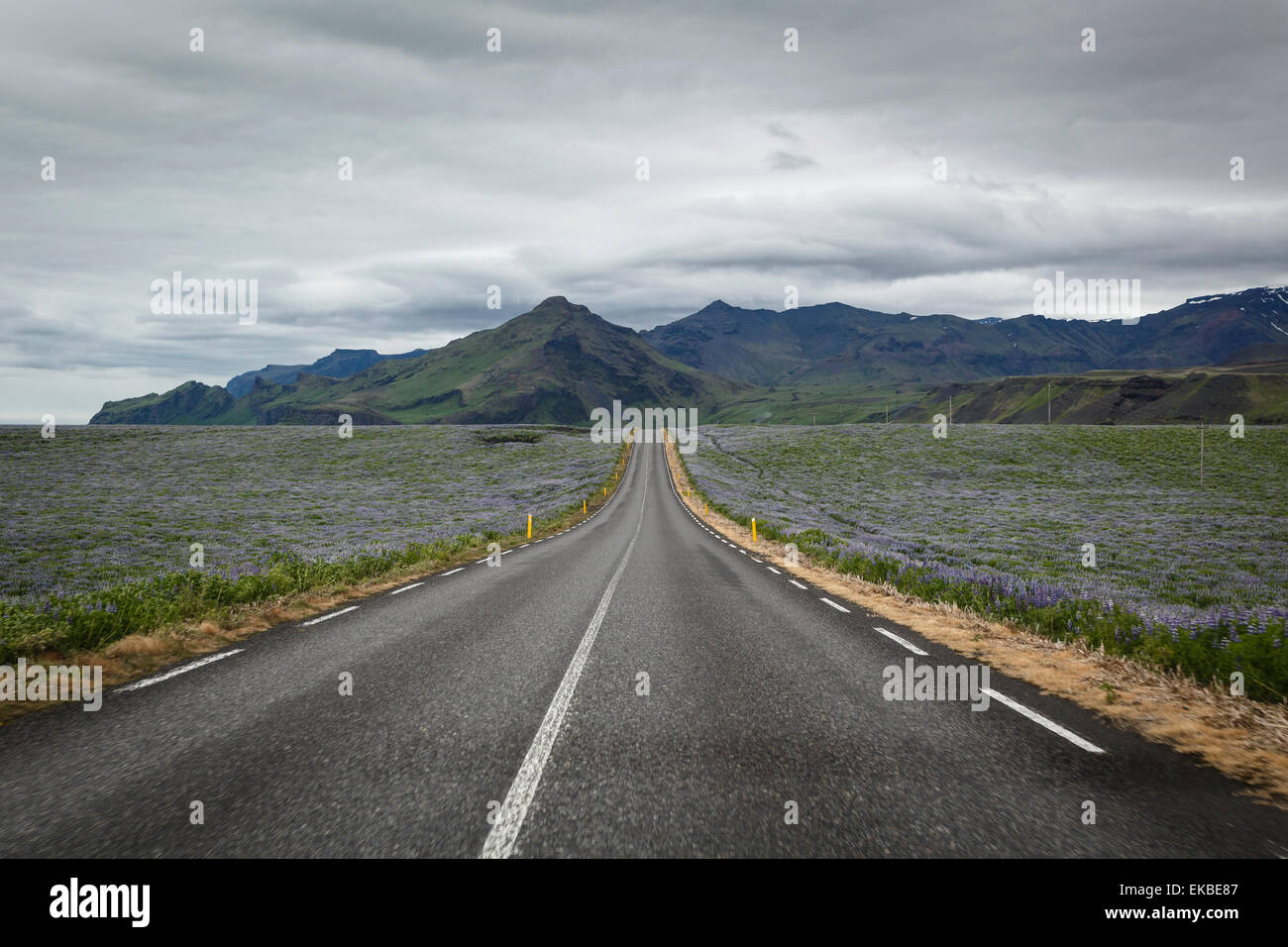Empty road, Iceland, Polar Regions Stock Photo