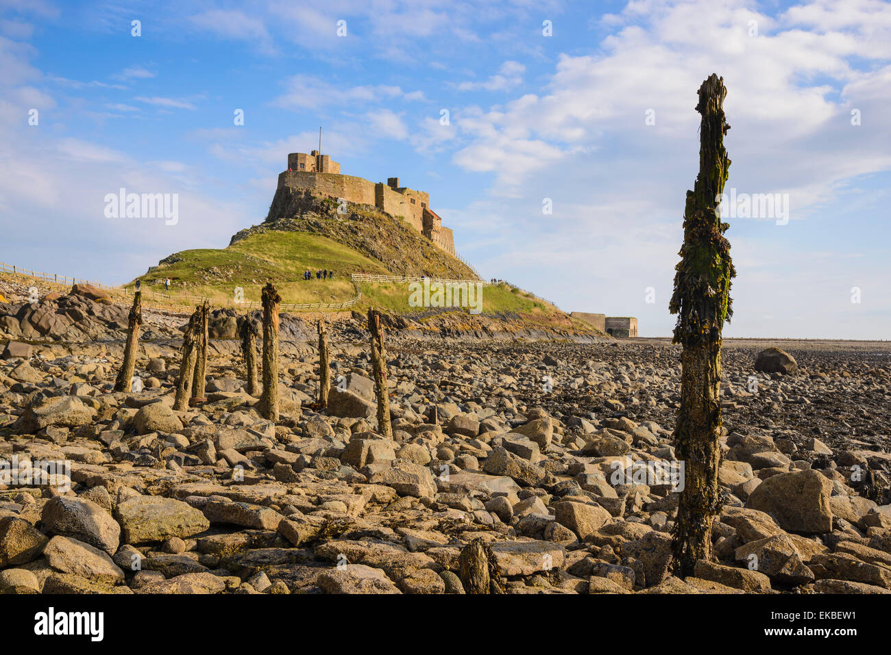 Lindisfarne Castle, Holy Island, Northumberland, England, United Kingdom, Europe Stock Photo