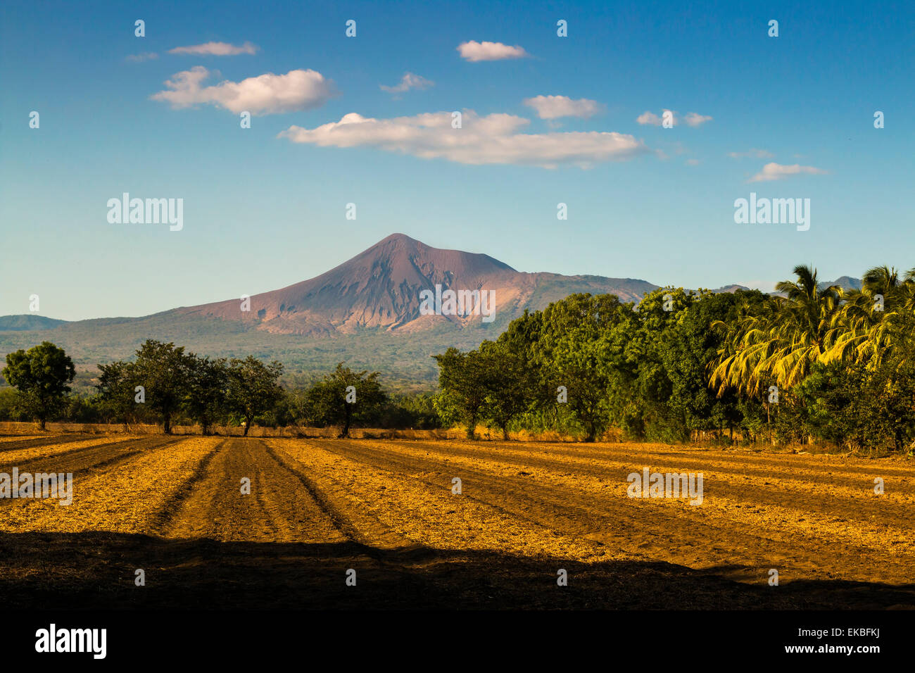 Fields north of Leon and Volcan Telica, in the North West volcanic chain, Leon, Nicaragua Stock Photo