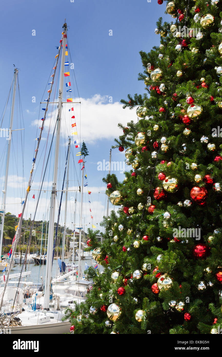Xmas tree with blue sky and yachts in a marina, in Whangarei, New Zealand. Stock Photo