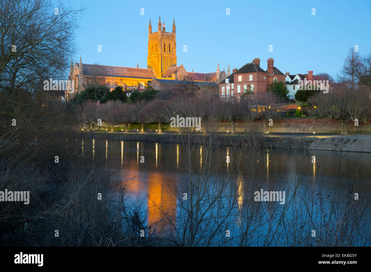Worcester Cathedral on the River Severn floodlit at dusk, Worcester, Worcestershire, England, United Kingdom, Europe Stock Photo