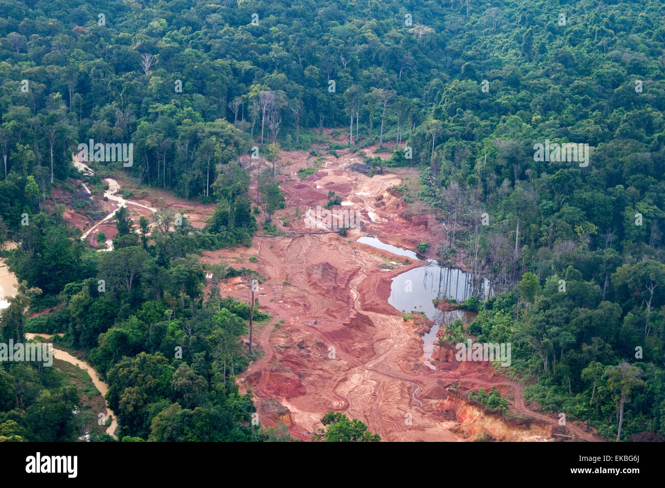 Destruction of rainforest caused by gold mining, Guyana, South America Stock Photo