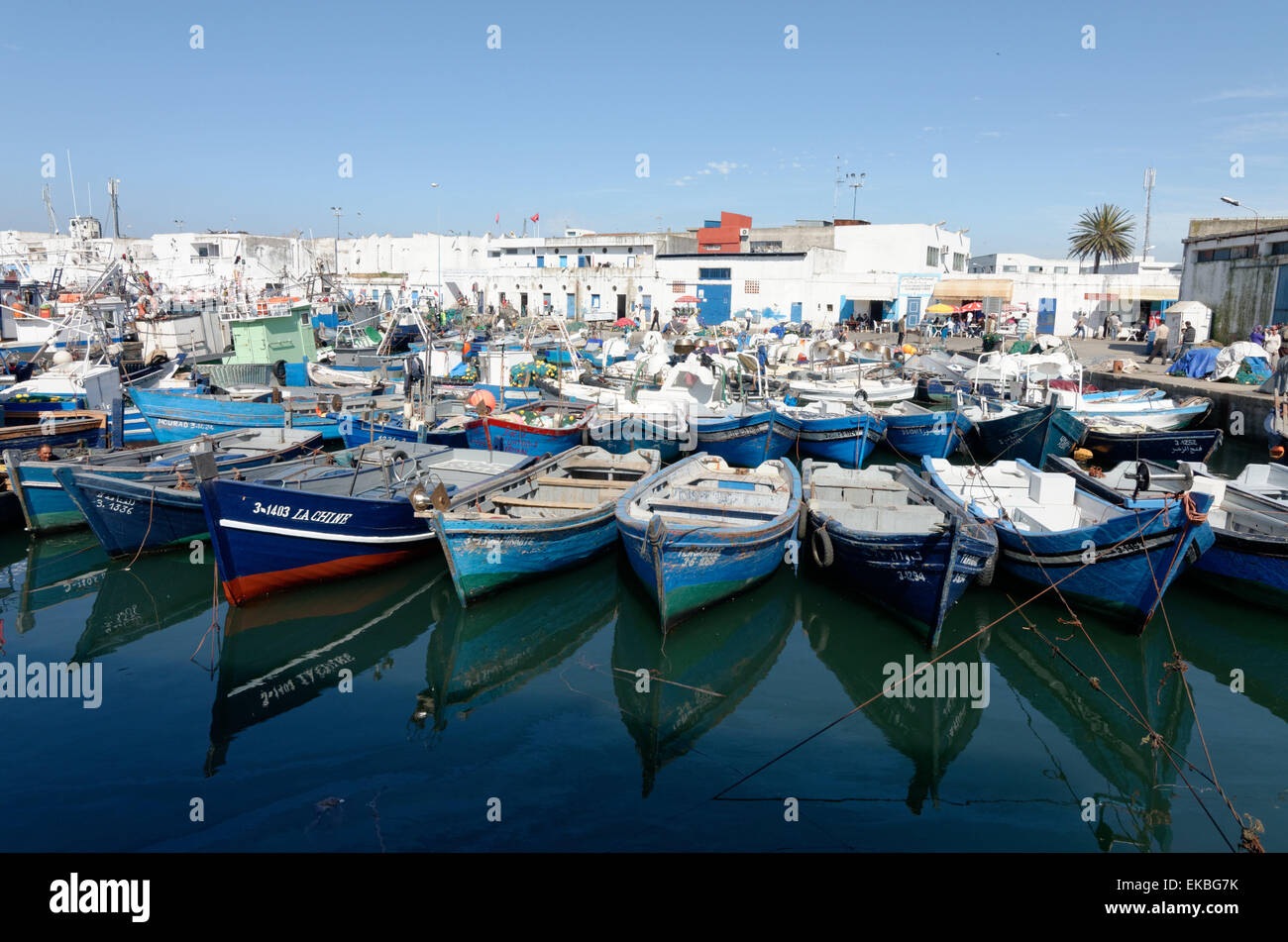 Small inshore fishing boats in Tangier fishing harbour, Tangier, Morocco, North Africa, Africa Stock Photo