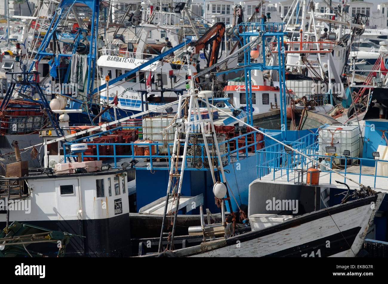 Densely crowded fishing boats moored in Tangier fishing harbour, Tangier, Morocco, North Africa, Africa Stock Photo